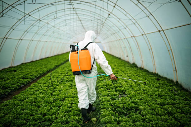 Best Pest Control for Businesses  in Greensburg, PA