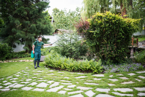 Best Pest Inspection Near Me  in Greensburg, PA