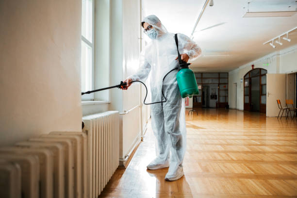 Best Termite Control Services  in Greensburg, PA