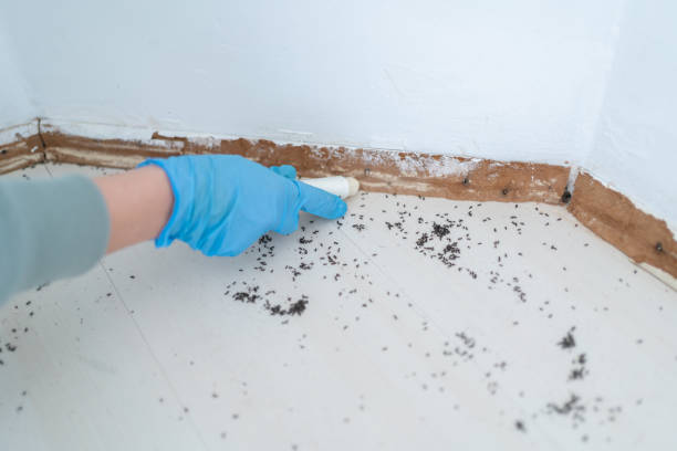 Best Bed Bug Extermination  in Greensburg, PA